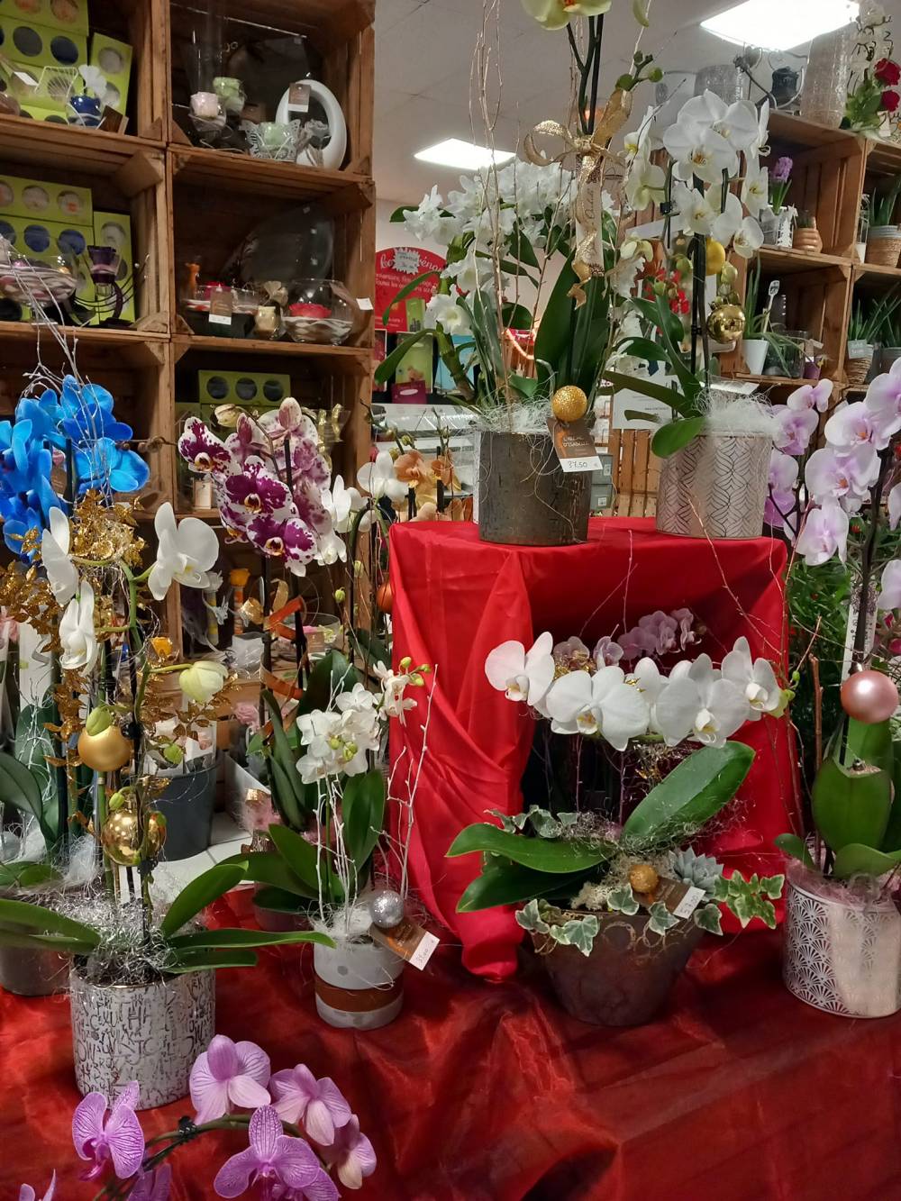 décoration et produits annexes (4)