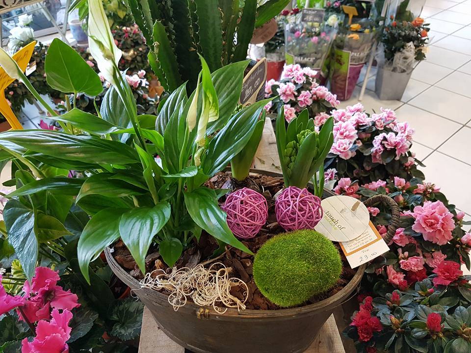 décoration et produits annexes (6)