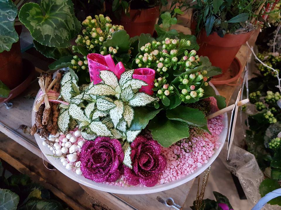 décoration et produits annexes (7)